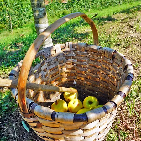 Rural Sagarlore Hotel Astigarraga