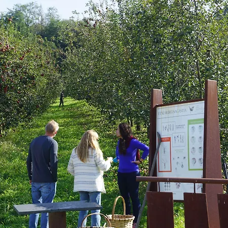 Rural Sagarlore