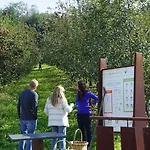 Rural Sagarlore