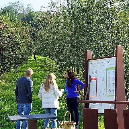 Rural Sagarlore Astigarraga