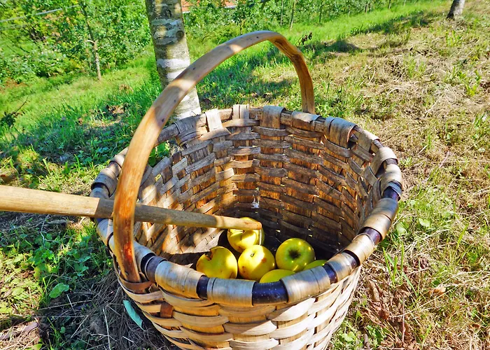 Rural Sagarlore Hotel Astigarraga